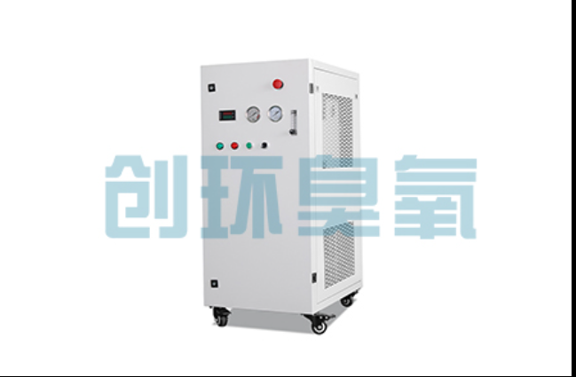 澄迈工厂化养鲈必看：2026年臭氧发生器替代传统消毒的最新方案