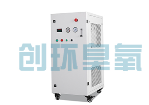澄迈石斑鱼养殖水质调控完整指南:臭氧发生器配置与操作步骤