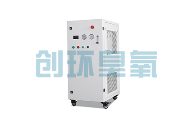 澄迈比传统换水更高效?臭氧发生器在石斑鱼养殖中的水质净化原理解析